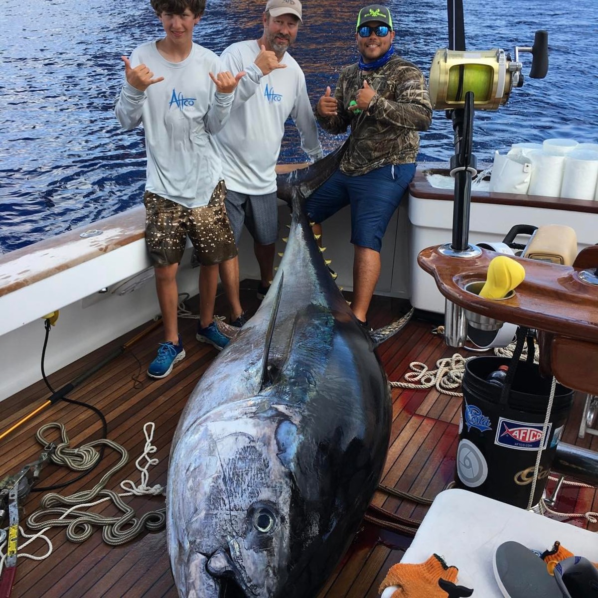tuna3.jpg